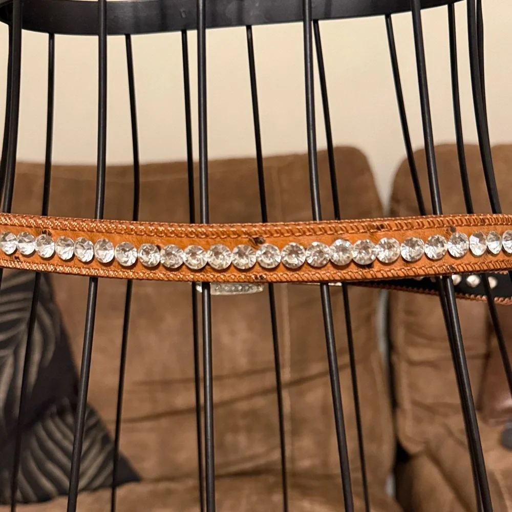 Elegant Brown Rhinestone Belt